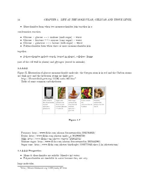 Siyavula: Life Sciences Grade 10 - Cd3wd.com