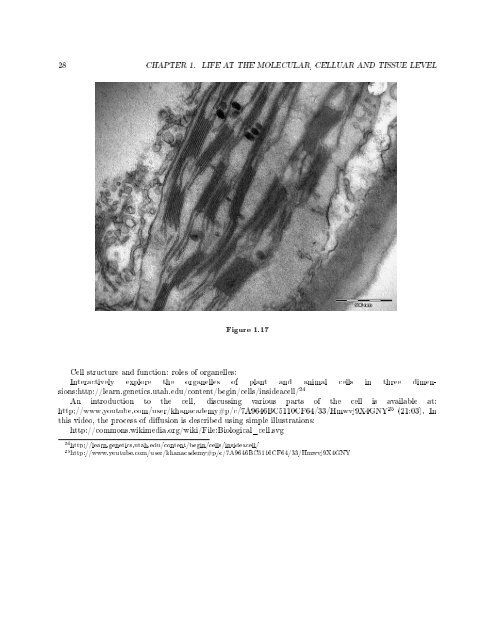 Siyavula: Life Sciences Grade 10 - Cd3wd.com