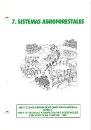 Los sistemas agroforestales - Agronet