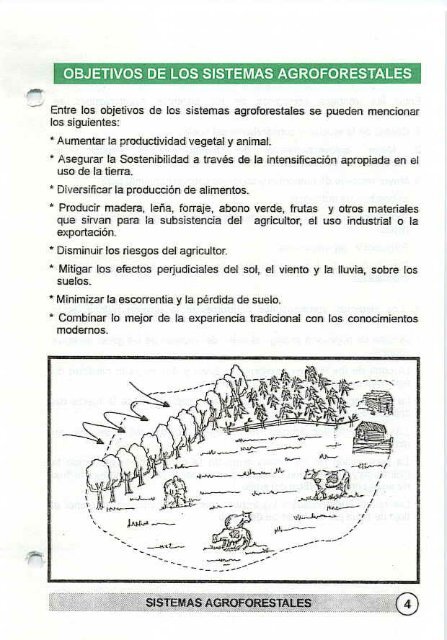 Los sistemas agroforestales - Agronet