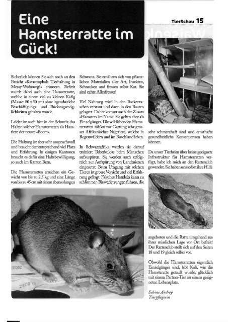 Bericht - Club der Rattenfreunde Schweiz