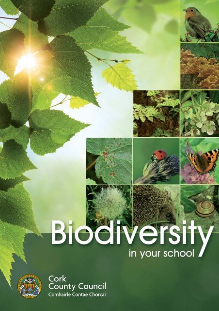 Biodiversity in Your School - Cork County Council
