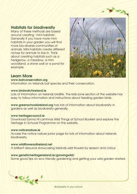 Biodiversity in Your School - Cork County Council