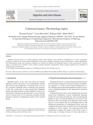 Colorectal tumors: The histology report - Siapec - IAP