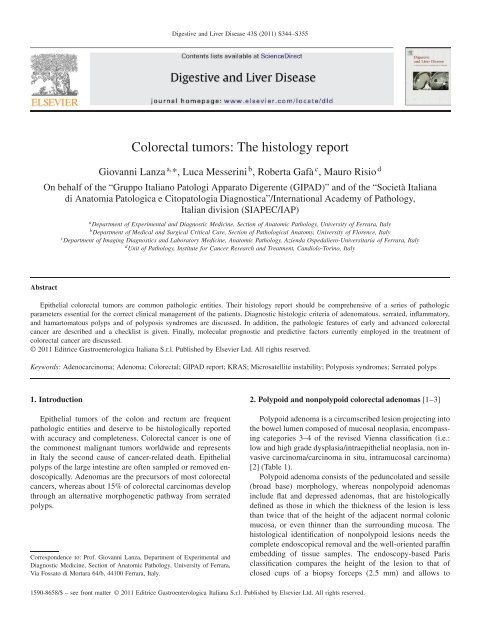 Colorectal tumors: The histology report - Siapec - IAP