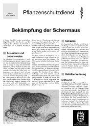 Bekämpfung der Schermaus