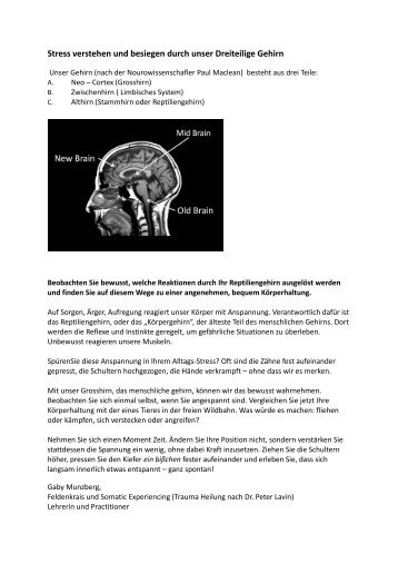 Stress verstehen und besiegen durch unser Dreiteilige Gehirn