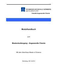 Modulhandbuch - Georg-Simon-Ohm-Hochschule Nürnberg
