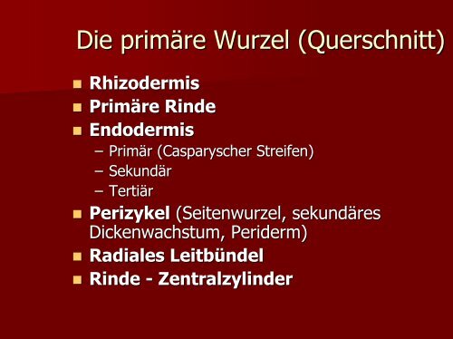 Grundbegriffe der Biologie Teil 4 - PharmXplorer