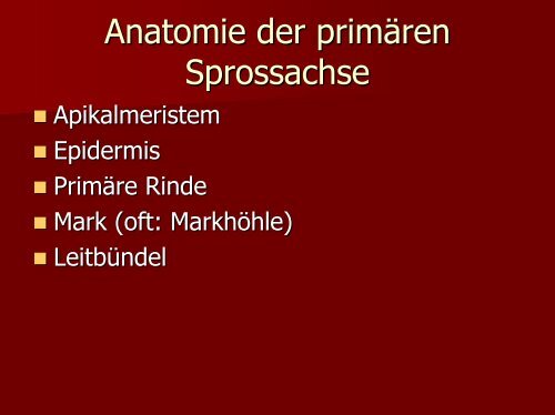 Grundbegriffe der Biologie Teil 4 - PharmXplorer