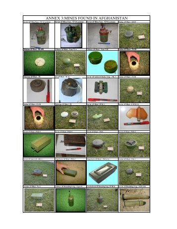 PDF 2.8MB - AP Mine Ban Convention