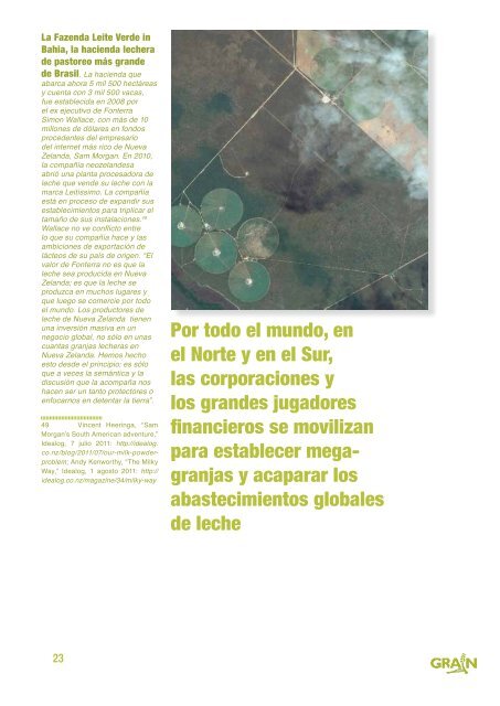 Bajar versÃ­on PDF - Grain