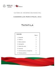 Tatatila - Gobierno del Estado de Veracruz