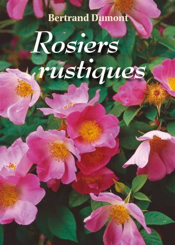 Rosiers rustiques