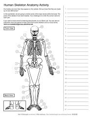Human Skeleton Anatomy Activity - Ask A Biologist