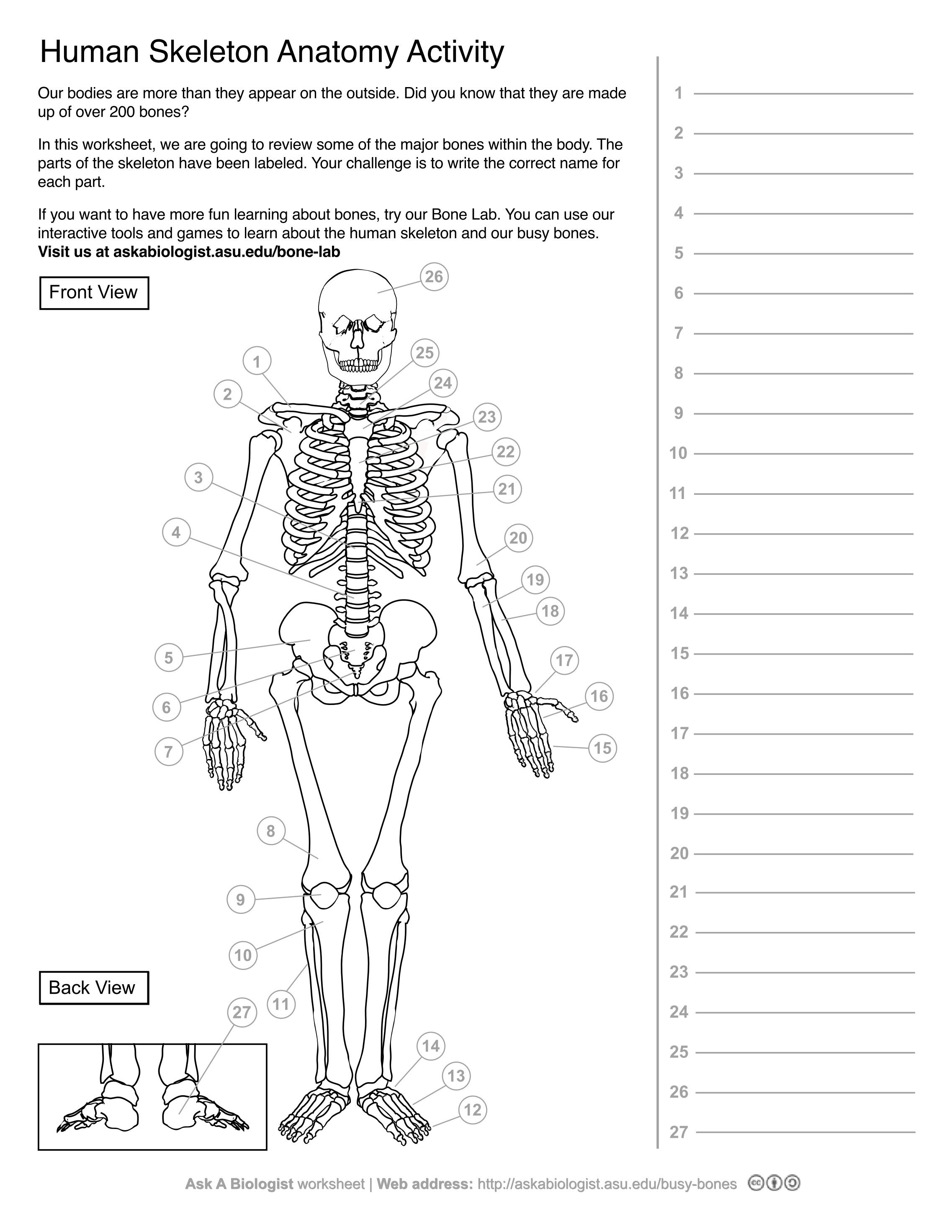 120 Free Magazines From Askabiologist.asu.edu