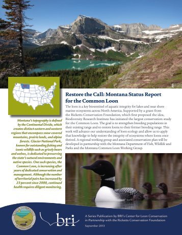 Montana Status Report for the Common Loon - Glen Group