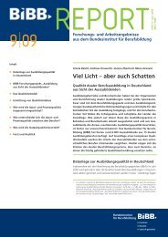 Viel Licht – aber auch Schatten - Wir gestalten Berufsbildung