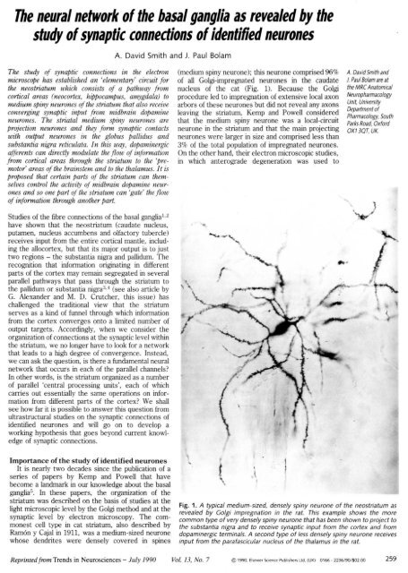 The neural network of the basal ganglia as revealed by the study of ...