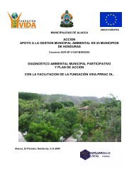 accion apoyo a la gestion municipal ambiental en 25 municipios de ...