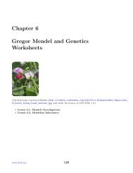 Chapter 6 Gregor Mendel and Genetics Worksheets