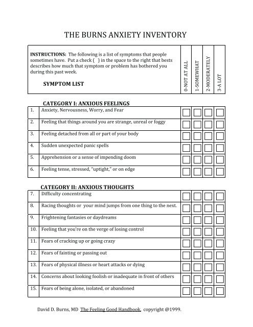 THE BURNS ANXIETY INVENTORY - Relationships Incorporated
