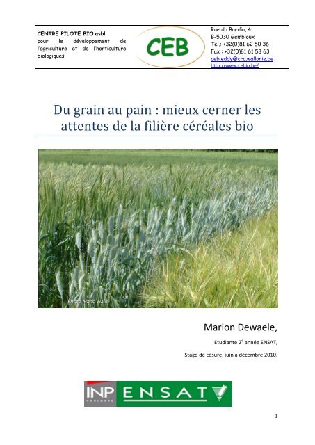 CEB-Rapport Marion Dewaele - Centre Pilote Bio