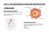 UNIT 5. THE ENDOCRINE SYSTEM AND REPRODUCTION - Bell-lloc
