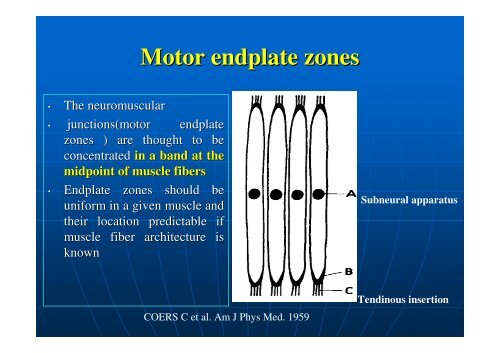 Overview of Spasticity in Elderly Patients - The Hong Kong Geriatrics ...