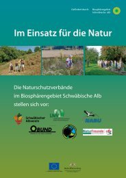Im Einsatz für die Natur - BUND Neckar-Alb