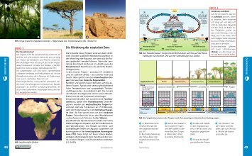 Die Gliederung der tropischen Zone