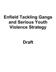 Enfield Tackling Gangs and Serious Youth Violence Strategy Draft