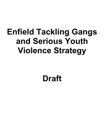 Enfield Tackling Gangs and Serious Youth Violence Strategy Draft