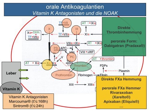 Die neuen oralen Antikoagulantien - Spital Uster