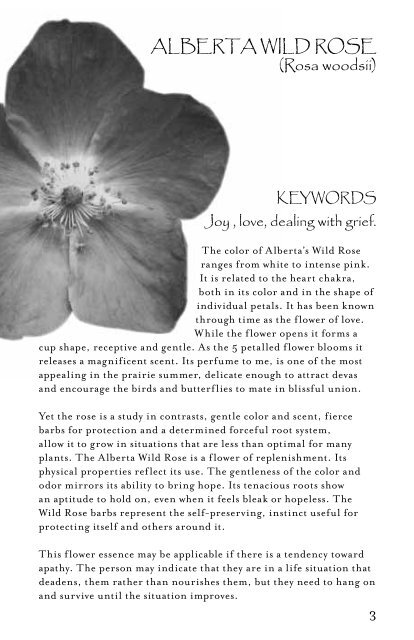 Prairie Deva Flower Essences - Self Heal Distributing