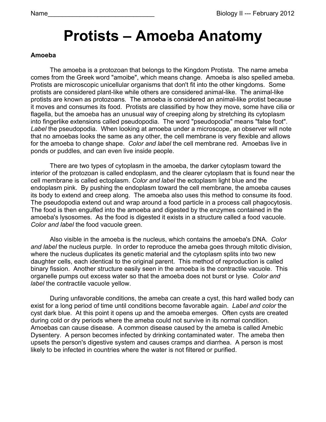 Worksheets Protists Worksheet worksheets protists worksheet pureluckrestaurant free resultinfos amoeba resultinfos