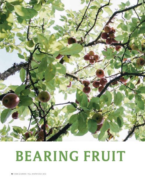 https://img.yumpu.com/51586310/1/500x640/bearing-fruit-marthas-vineyard-magazine-beetlebung-tree-care.jpg