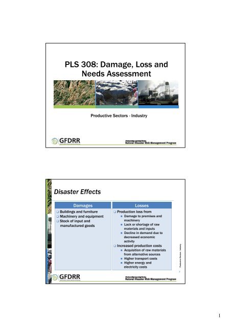 PLS 308: Damage, Loss and Needs Assessment - Pacific Disaster Net