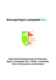 Bioenergie-Region Ludwigsfelde Plus+