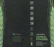 cereal staging - Bayer CropScience