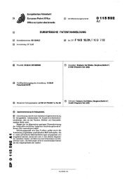 Zapfenverbindung für Holzgestelle - European Patent Office - EP ...