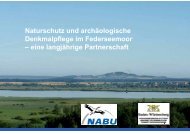 Naturschutz und archäologische Denkmalpflege im ... - Archäologie