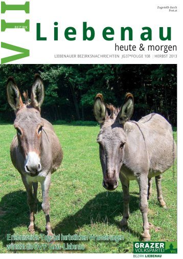 PDF azeigen - Die Grazer Volkspartei