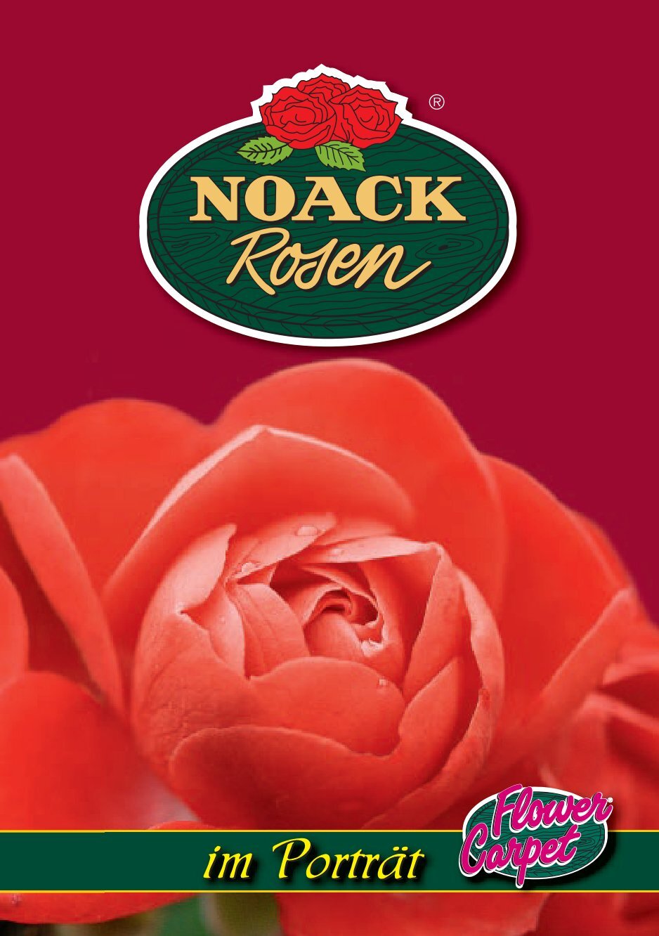 1 free Magazines from NOACK.ROSEN.DE
