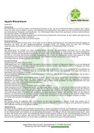 Appels Wiesentraum - Appels Wilde Samen GmbH