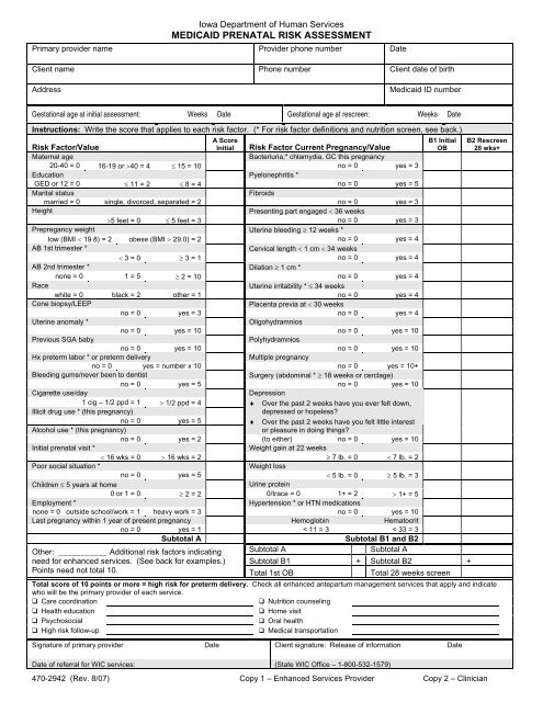 470-2942 Medicaid Prenatal Risk Assessment - Iowa Department of ...