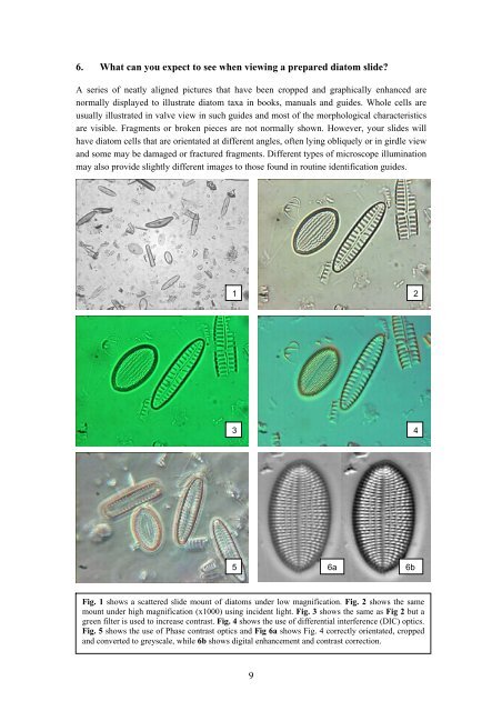 A Methods Manual for the Collection, Preparation and Analysis of ...