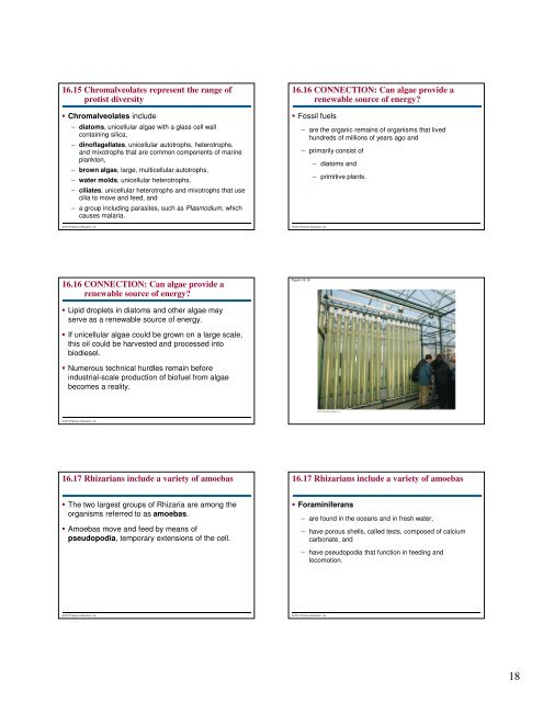 Microbial Life: Prokaryotes and Protists - Renz Science