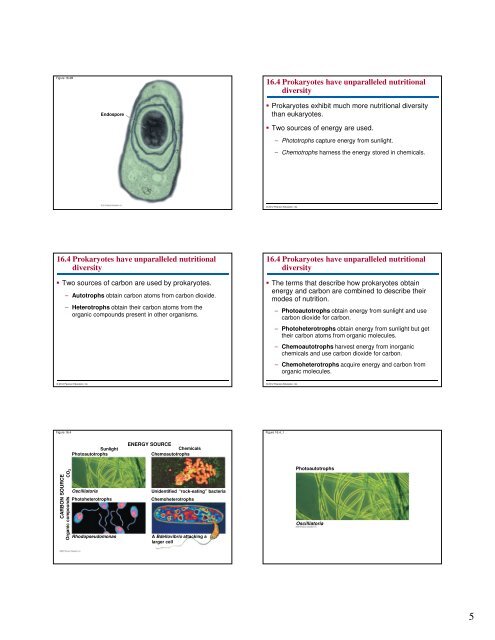 Microbial Life: Prokaryotes and Protists - Renz Science