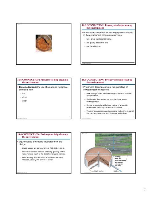 Microbial Life: Prokaryotes and Protists - Renz Science